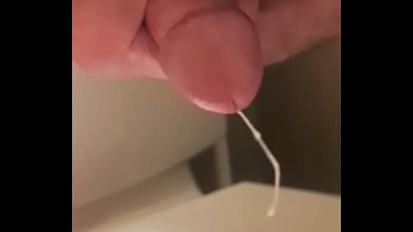 Letting The Bear out