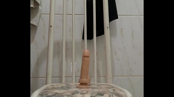 Ursinho sentando no pau de borracha