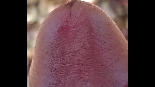 Venha conferir esse meu pau gostoso e tesudo