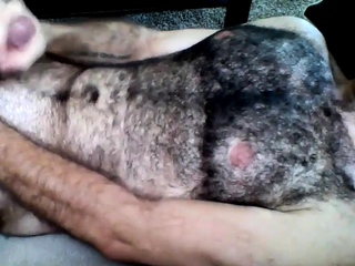 Hairy Horny Daddy Strokes His Big Cock